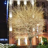 Во Владивостоке 1 декабря зажглась новогодняя иллюминация