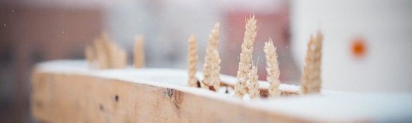 Завтра во Владивостоке возможен слабый снег