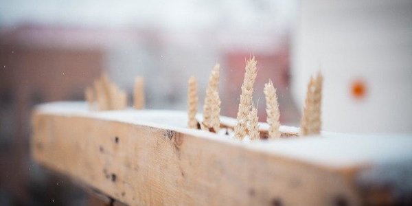 Завтра во Владивостоке возможен слабый снег