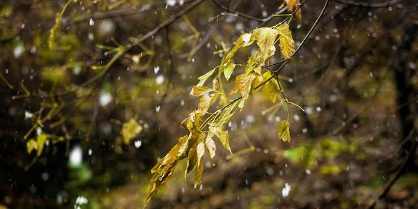 Резкое похолодание ожидается в Приморье, на севере – мокрый снег