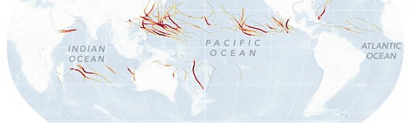 Сезон ураганов 2015 года оказался аномальным