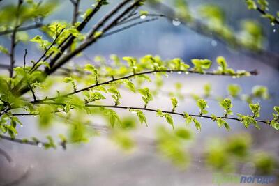 Погода без осадков ожидается в Приморье и Владивостоке в четверг