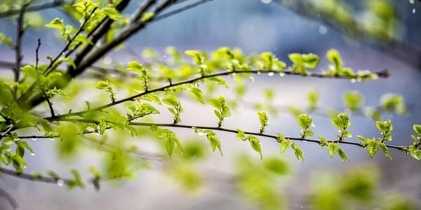 Погода без осадков ожидается в Приморье и Владивостоке в четверг