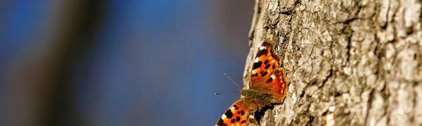 Синоптики дали прогноз погоды на рабочую неделю в Приморье и Владивостоке