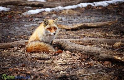 В понедельник погода в Приморье испортится