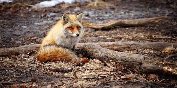 В понедельник погода в Приморье испортится