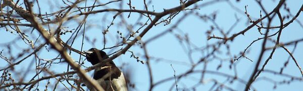 Синоптики рассказали о погоде в Приморье и Владивостоке на выходных. Точный прогноз на Примпогоде