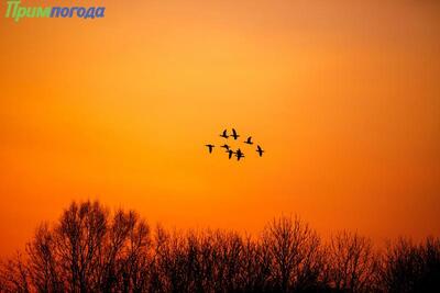 Синоптики рассказали о погоде в Приморье и Владивостоке в первые выходные апреля