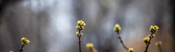 Выходные в Приморье и Владивостоке погодой не порадуют