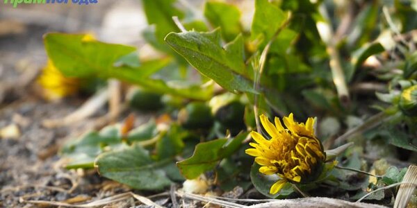 Солнечная погода ожидается в Приморье в светлое Пасхальное Воскресенье