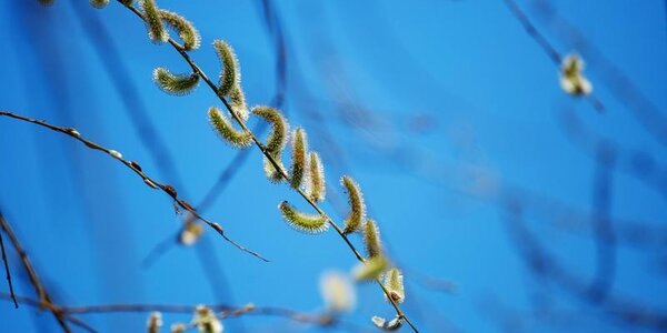 В пятницу погода в Приморье начнет меняться