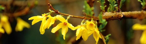 Хабаровский циклон испортит погоду в Приморье в среду