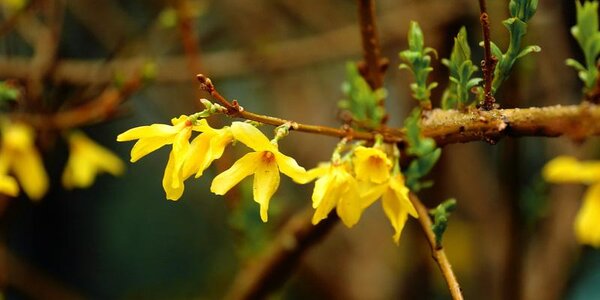 Синоптики рассказали о погоде в Приморье и Владивостоке в начале следующей недели