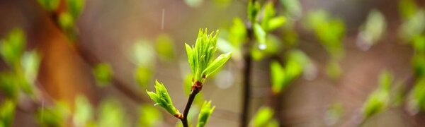 В субботу во Владивостоке воздух прогреется до +18 °С