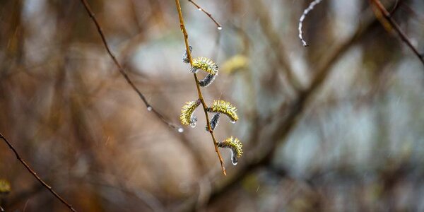 Туман с моросью ожидаются во Владивостоке в пятницу