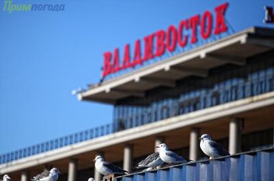 Температура воздуха в Приморье выше нормы на 2 — 8 градусов