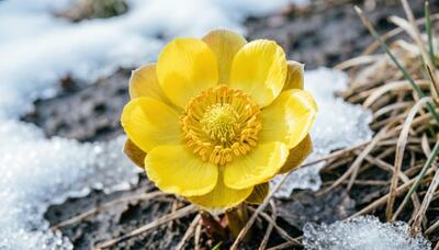 Апрель в Приморье стартует с по-весеннему теплой погоды