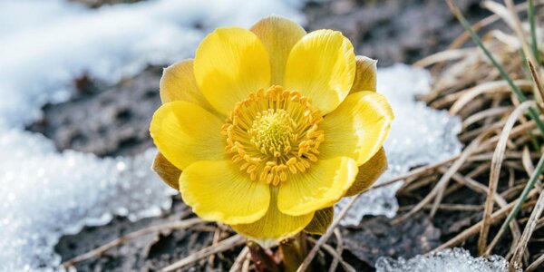 Апрель в Приморье стартует с по-весеннему теплой погоды