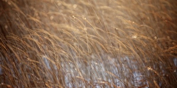 В Приморье установилась морозная погода с сильным ветром