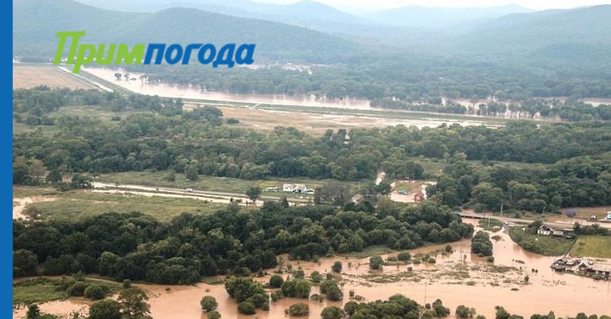 Погода в новоселище. Село Новоселище Ханкайский район. Новоселище.