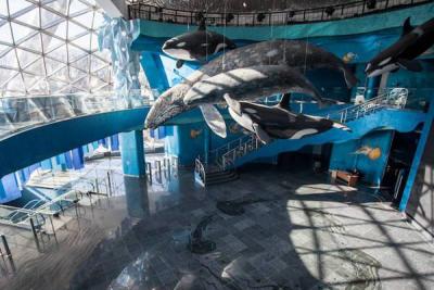 Во Владивостоке открылся Приморский океанариум