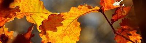 Во вторник в Приморье немного потеплеет