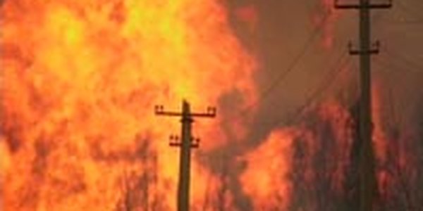 В Приморских лесах пожаров не зафиксировано