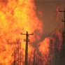 В Приморских лесах пожаров не зафиксировано