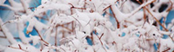 Вечером 31 декабря во Владивостоке возможен слабый снег