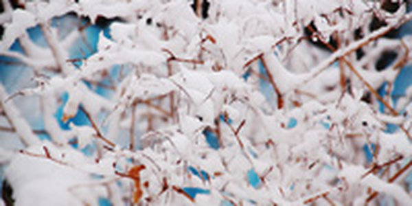 Вечером 31 декабря во Владивостоке возможен слабый снег