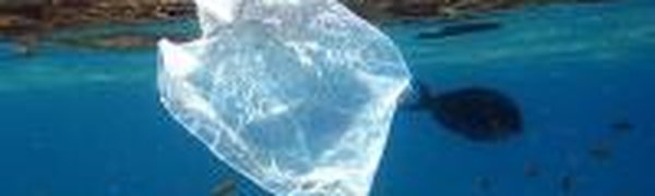 Европу хотят освободить от пластиковых пакетов