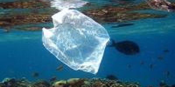 Европу хотят освободить от пластиковых пакетов