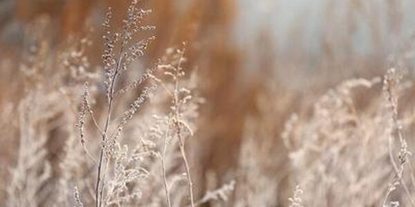 Синоптики рассказали, что ждать жителям Приморья и Владивостока на следующей неделе