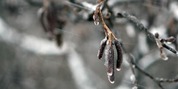 Морозные выходные ждут жителей Приморья и Владивостока