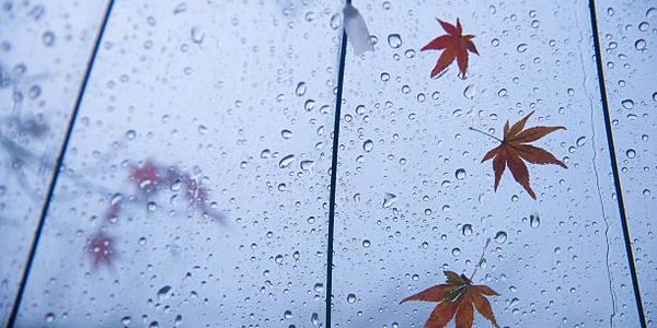 Синоптики предупредили о похолодании и возвращении дождей в Приморье