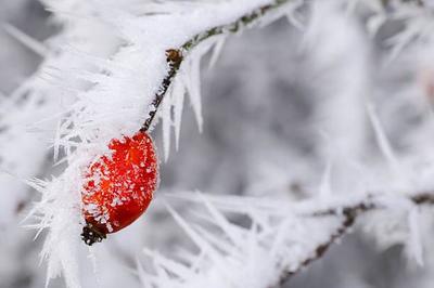 Учёные рассказали о смертельной опасности зимы‍