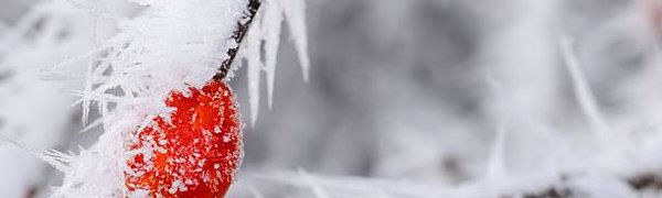 Учёные рассказали о смертельной опасности зимы‍