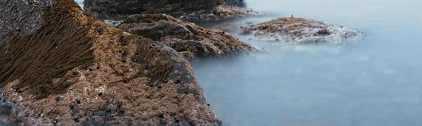 На этой неделе устойчивой погоды во Владивостоке ждать не стоит