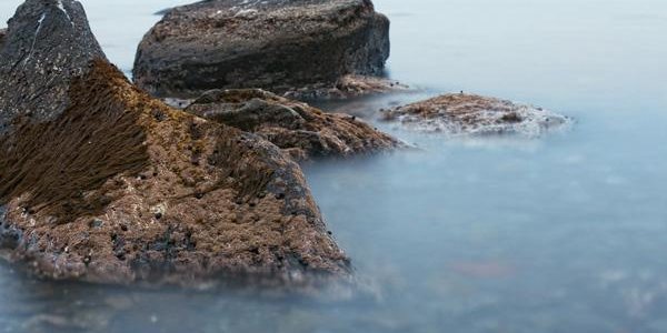 На этой неделе устойчивой погоды во Владивостоке ждать не стоит