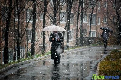 Южный циклон принесёт в Приморье сильный дождь и дождь со снегом