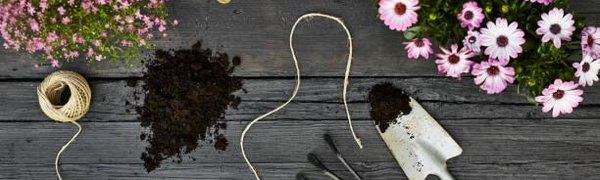 Очередная лекция для дачников Владивостока состоится 10 ноября