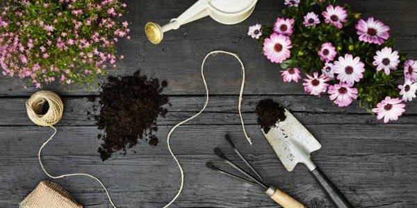 Очередная лекция для дачников Владивостока состоится 10 ноября