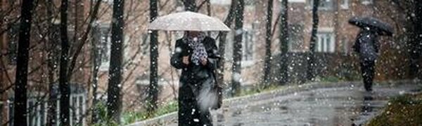 Новый циклон принесет в Приморье дождь со снегом и сильный ветер