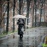 Новый циклон принесет в Приморье дождь со снегом и сильный ветер
