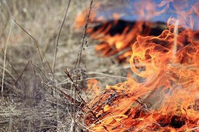 С 1 апреля на всей территории Приморья стартовал пожароопасный сезон