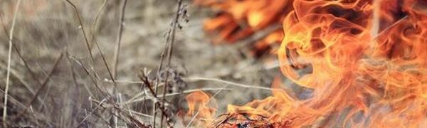 Предупреждение о неблагоприятном явлении объявлено в Приморье