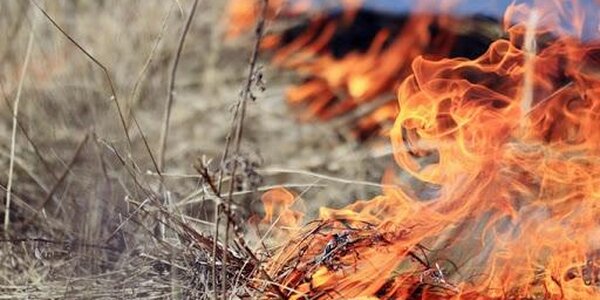 Предупреждение о неблагоприятном явлении объявлено в Приморье