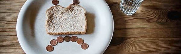 ВЦИОМ: у 29 % россиян хватает денег лишь на еду