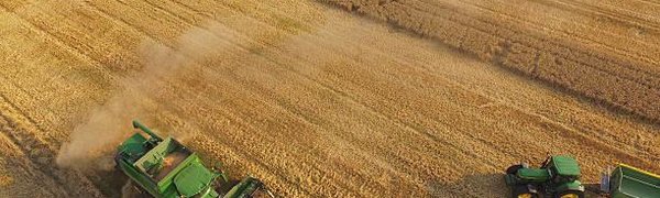 Россия потеряет до 2 % ВВП в год из-за глобального потепления