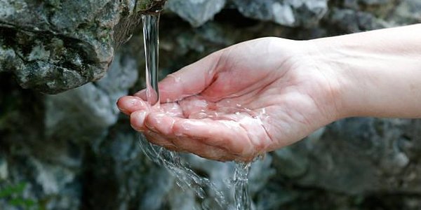 Кишечная палочка обнаружена в нескольких подземных родниках Приморья